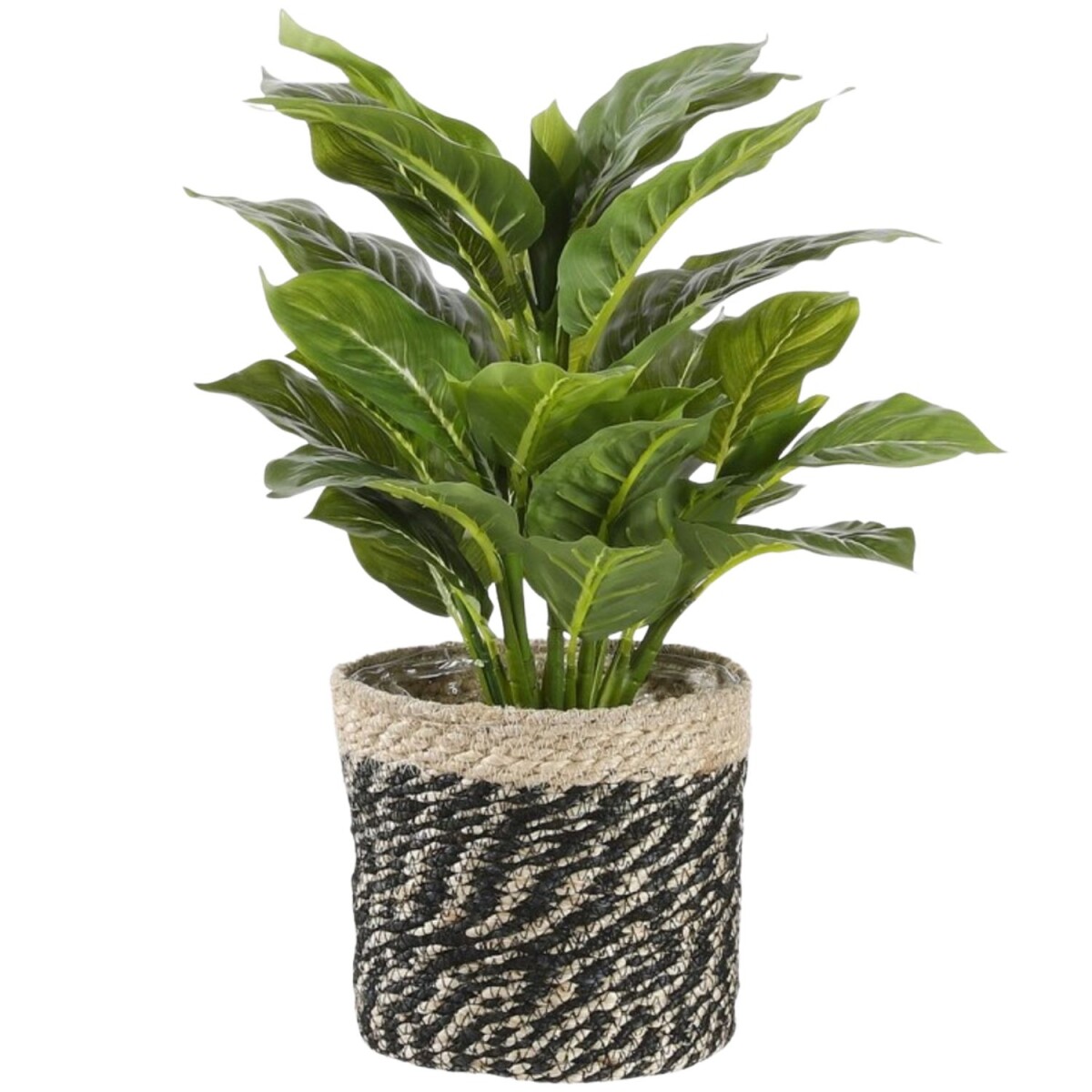 Natural-Black Plant Basket | Woven Plant box